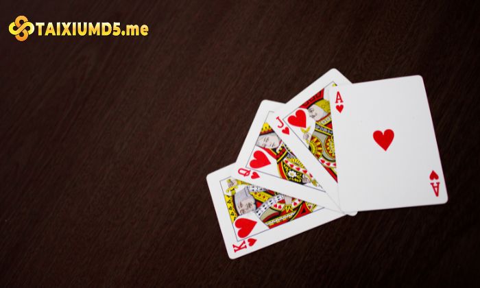 Luật chơi cơ bản cần nắm trước khi nhân vốn catte 
