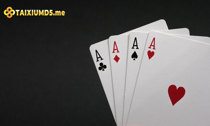 Chơi có kế hoạch để đảm bảo an toàn trong mọi tình huống 